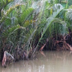 พาน้องเรียนรู้การใช้ประโยชน์จากทรัพยากรในท้องถิ่นเพื่อขยายผลสู่คนในชุมชนบ้านมั่นคง